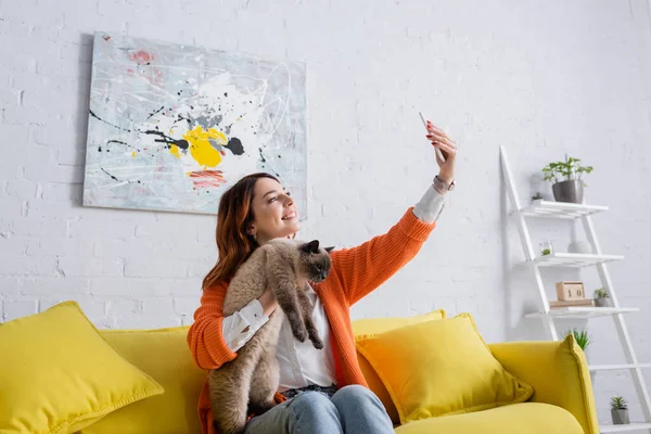 Aufgeregte Frau macht Selfie mit Katze, während sie auf Couch neben Bild an weißer Wand sitzt — Stockfoto