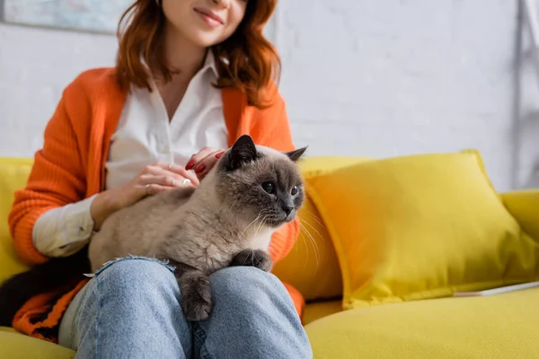Visão parcial da mulher sorrindo borrada sentada com gato no sofá amarelo — Fotografia de Stock