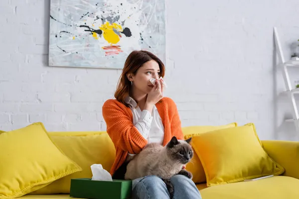 Mujer alérgica estornudando en servilleta de papel mientras está sentada en el sofá con el gato - foto de stock