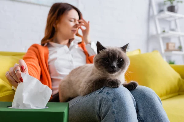 Femme allergique floue prenant serviette en papier de l'emballage tout en éternuant sur le canapé près du chat — Photo de stock