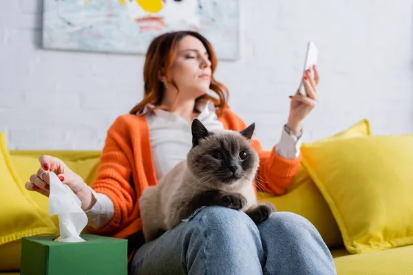 Mujer alérgica borrosa sosteniendo teléfono inteligente mientras toma servilleta de papel de paquete cerca del gato - foto de stock