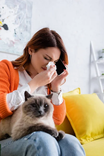 Donna allergica ad occhi chiusi starnutisce in tovagliolo di carta e parla al cellulare seduta sul divano con gatto — Foto stock