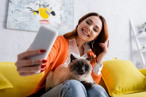 Cheerful woman sitting on yellow sofa with cat and taking selfie on blurred mobile phone — Stock Photo