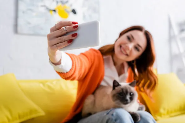 Donna sfocata sorridente mentre seduta sul divano con gatto e scattare selfie sul cellulare — Foto stock