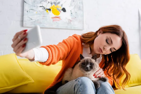 Mujer joven haciendo pucheros labios mientras toma selfie con gato en un teléfono inteligente borroso - foto de stock