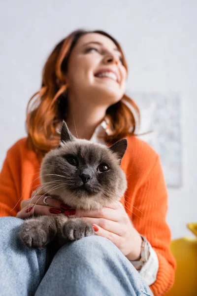 Bajo ángulo vista de borrosa alegre mujer sentado con peludo gato en casa - foto de stock