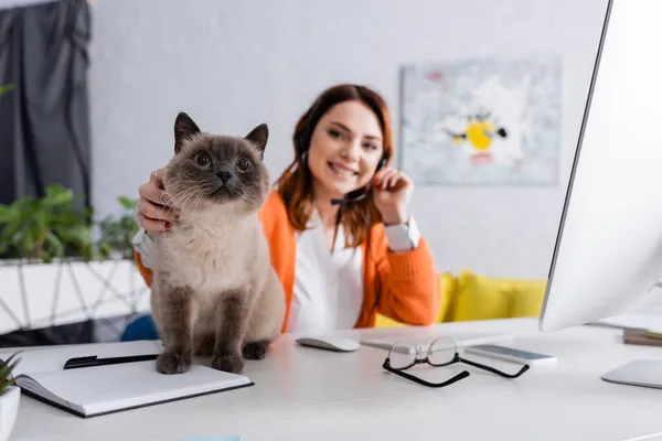 Размытый телерабочий гладит кошку сидя на рабочем столе возле ноутбука и очков — стоковое фото