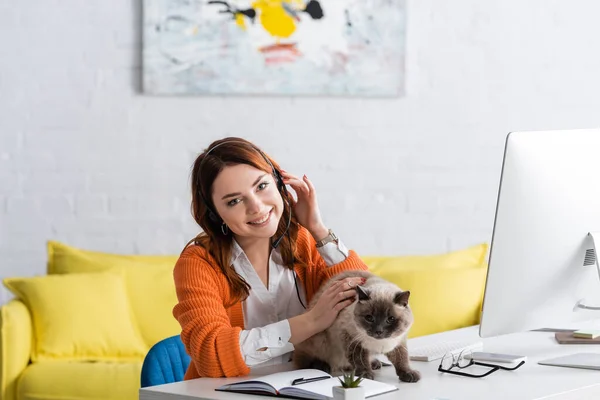 Mujer alegre en auriculares mirando a la cámara mientras trabaja cerca del gato en el escritorio en casa - foto de stock
