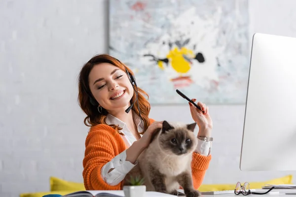 Mulher alegre no fone de ouvido acariciando gato enquanto trabalhava perto de monitor de computador borrado — Fotografia de Stock