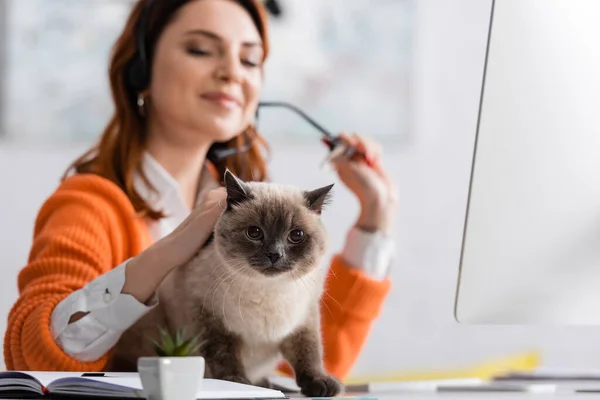 Verschwommene Freiberuflerin streichelt Katze am Schreibtisch, während sie zu Hause arbeitet — Stockfoto