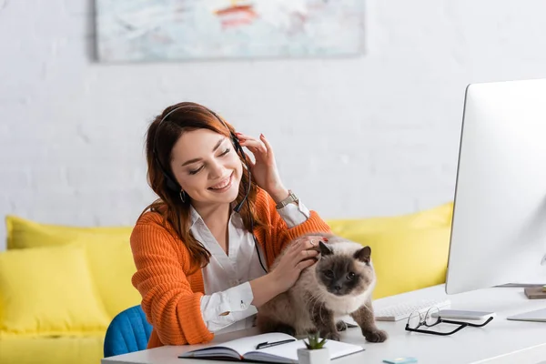 Glückliche Frau im Headset streichelt Katze, während sie in der Nähe des Computers zu Hause arbeitet — Stockfoto