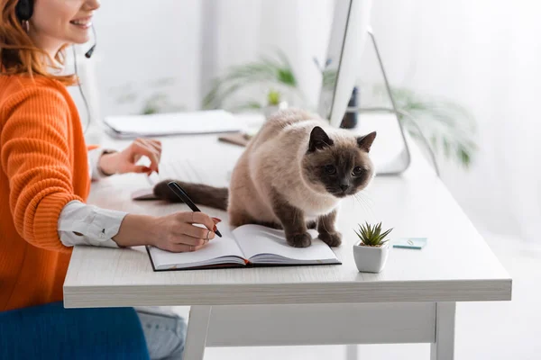 Ausgeschnittene Ansicht einer verschwommenen Frau, die in Notizbuch neben Katze auf Schreibtisch sitzt — Stockfoto