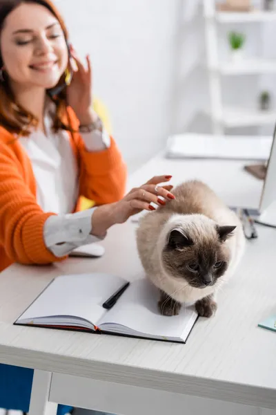 Happy blurred woman touching cat sitting near notebook and pen on desk — Stock Photo