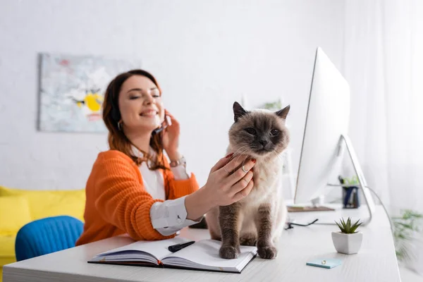 Verschwommene Frau lächelt, während Streichelkatze auf Schreibtisch neben Notizbuch sitzt — Stockfoto