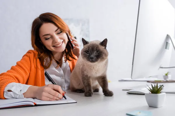 Freelancer sorrindo falando no celular e escrevendo em notebook perto de gato na mesa de trabalho — Fotografia de Stock