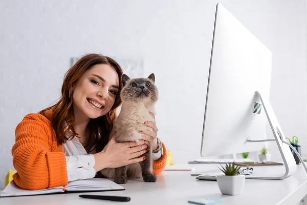 Feliz joven freelancer mirando a la cámara mientras abraza gato sentado en escritorio - foto de stock