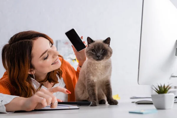 Sonriente freelancer sosteniendo smartphone con pantalla en blanco cerca del gato sentado en el escritorio cerca del monitor del ordenador - foto de stock