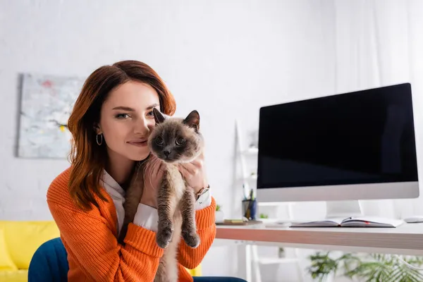 Mulher alegre olhando para a câmera ao abraçar gato perto do monitor com tela em branco — Fotografia de Stock