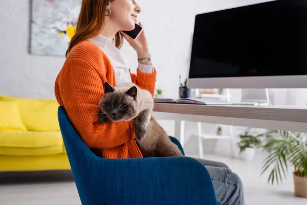 Vista recortada de la mujer borrosa hablando por teléfono celular mientras está sentada con el gato en el lugar de trabajo - foto de stock