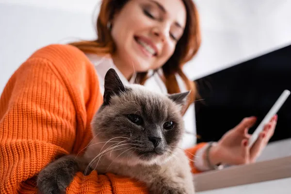 Vue à faible angle de la femme heureuse floue avec chat moelleux et smartphone — Photo de stock