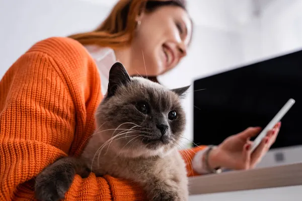 Vista de ángulo bajo de la mujer borrosa con gato usando teléfono inteligente mientras trabaja en casa - foto de stock