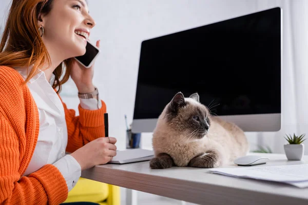 Happy freelancer talking on mobile phone near monitor with blank screen and cat on work desk — Stock Photo