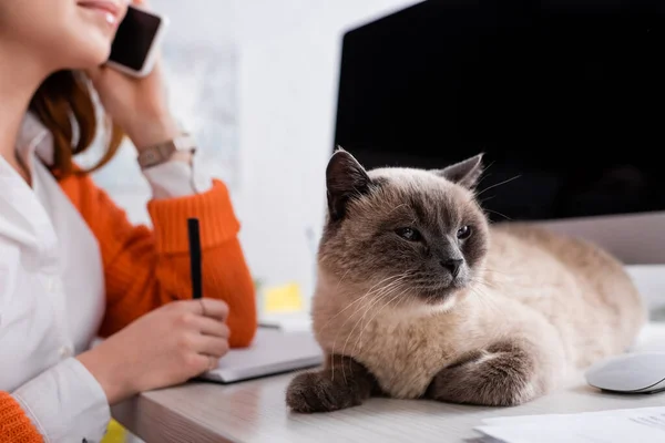 Vista ritagliata della donna sfocata che parla sul cellulare vicino al monitor con schermo bianco e gatto sulla scrivania — Foto stock