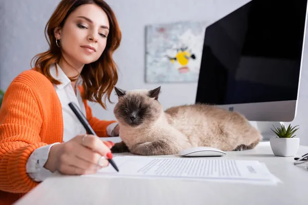 Young woman signing blurred contract near monitor with blank screen and cat on desk — Stock Photo