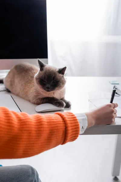 Vista parcial de la mujer que sostiene la pluma, y el gato acostado en el escritorio cerca del ratón del ordenador - foto de stock