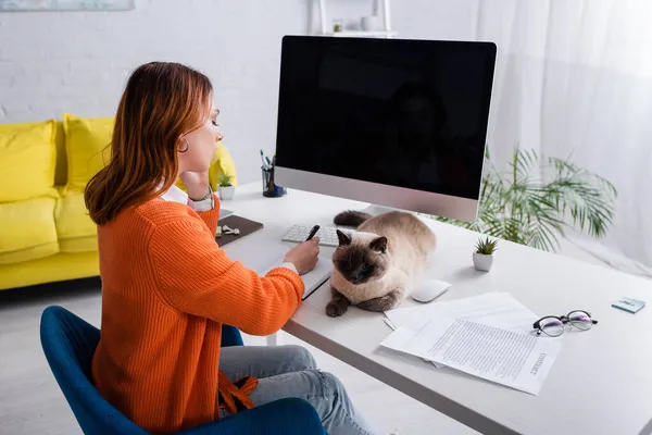 Young woman working near monitor with blank screen and cat lying on desk — Stock Photo