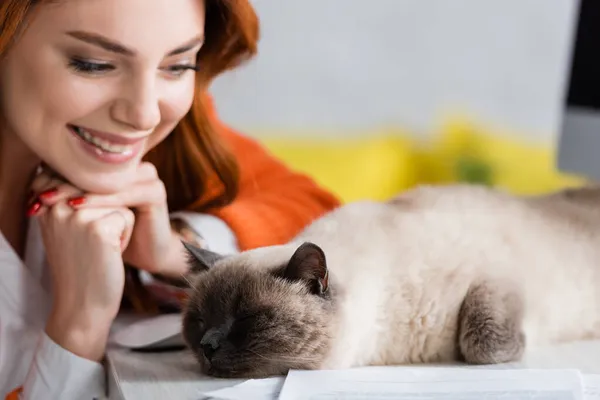 Mujer feliz borrosa mirando gato durmiendo en escritorio de trabajo - foto de stock