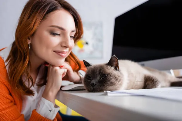 Chat à fourrure couché sur le bureau près d'une femme souriante et écran d'ordinateur flou — Photo de stock