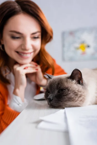 Selective focus of cat lying on desk near freelancer smiling on blurred background — Stock Photo