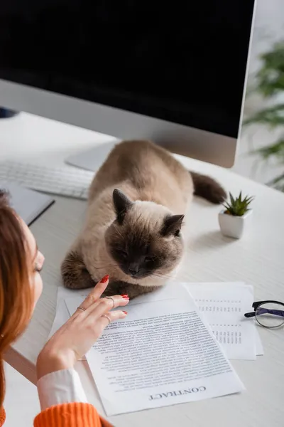 Cropped view of blurred woman touching cat lying on desk near documents — Stock Photo