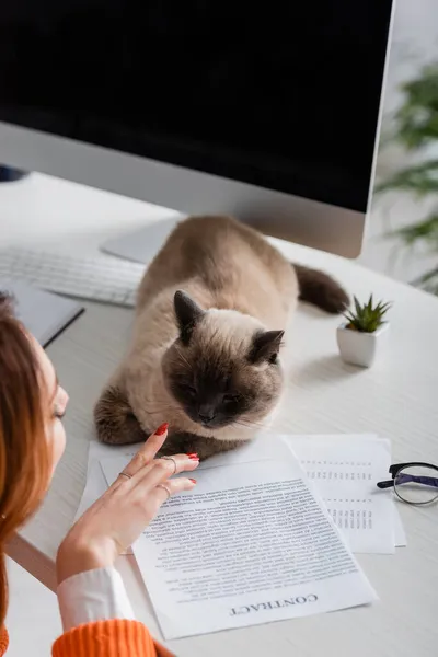 Vista cortada de mulher borrada tocando gato deitado na mesa perto de documentos — Fotografia de Stock