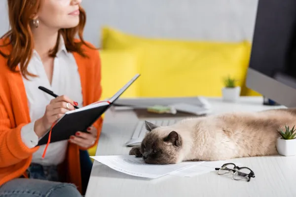 Cropped view of blurred woman writing in notebook near cat lying on desk — Stock Photo