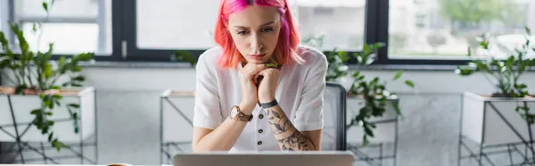 Femme d'affaires concentrée avec les cheveux roses regardant l'ordinateur portable dans le bureau, bannière — Photo de stock