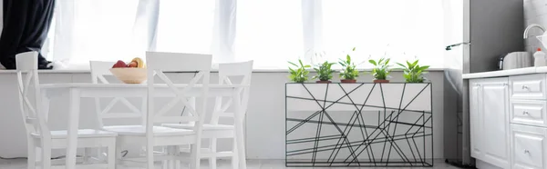 Table à manger avec des fruits près de chaises blanches dans la cuisine moderne, bannière — Photo de stock