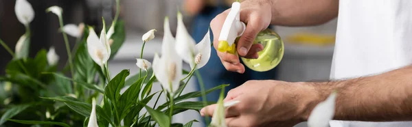 Abgeschnittene Ansicht eines Mannes, der Wasser auf eine Pflanze in der Nähe einer verschwommenen Frau sprüht, Banner — Stockfoto