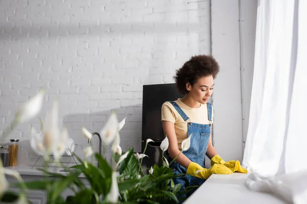 Encaracolado afro-americano mulher segurando pano perto peitoril da janela e plantas na cozinha — Fotografia de Stock