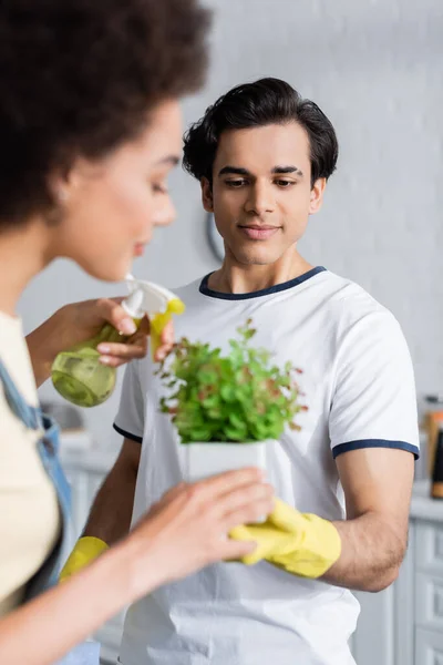 Young man holding green plant near blurred and curly african american woman with spray bottle — Stock Photo