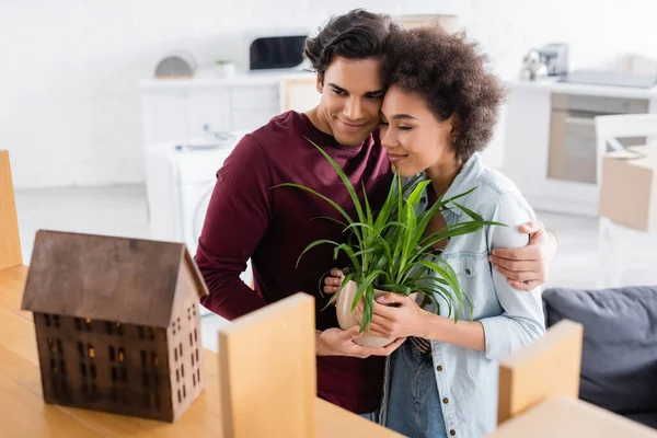 Glückliches multiethnisches Paar mit Pflanzen, die sich in der Nähe von verschwommenem Gestell mit Holzhausmodell umarmen — Stockfoto