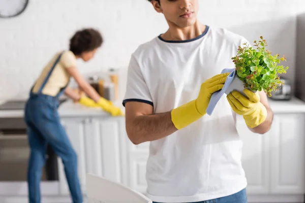 Mann in Gummihandschuhen hält Lappen und grüne Pflanze im Blumentopf — Stockfoto