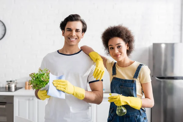 Cheerful man in rubber gloves holding rag and green plant near african american woman with spray bottle — Stock Photo