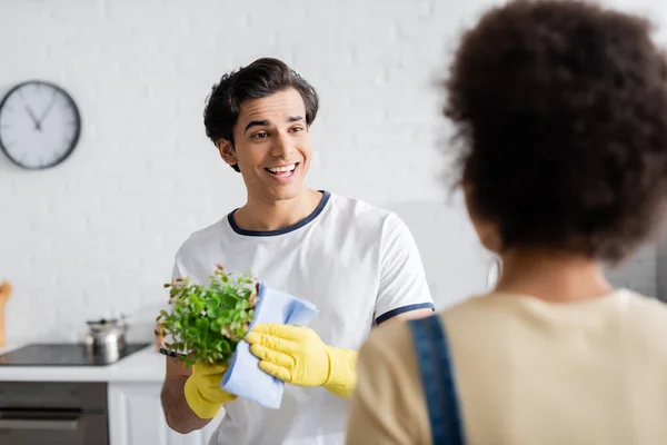 Homem feliz em luvas de borracha segurando pano e planta verde e olhando para mulher americana africana borrada — Fotografia de Stock