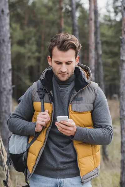 Junge Wanderin im Herbst-Outfit schaut im Wald auf Smartphone — Stockfoto