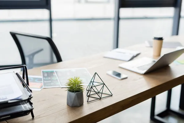 Plant near papers and gadgets on table in office — Stock Photo