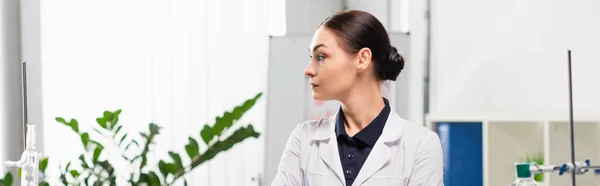 Side view of scientist in white coat looking away in lab, banner — Stock Photo