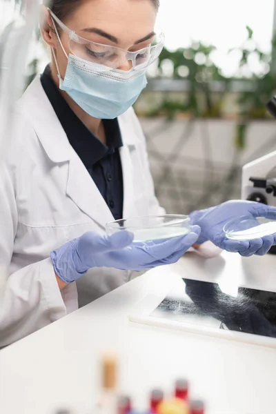 Cientista em luvas de látex e óculos segurando placas de Petri perto de tablet digital em laboratório — Fotografia de Stock