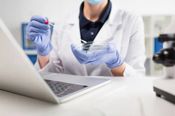 Vista recortada del científico que sostiene la placa de Petri y la prueba del pcr cerca del ordenador portátil en laboratorio - foto de stock